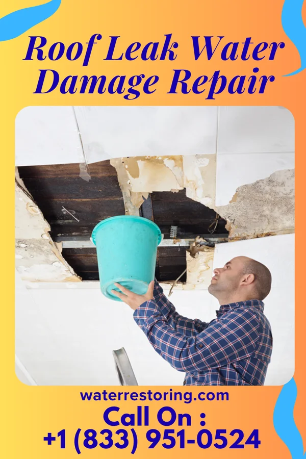 Roof Leak Water Damage Repair in Deltona, FL